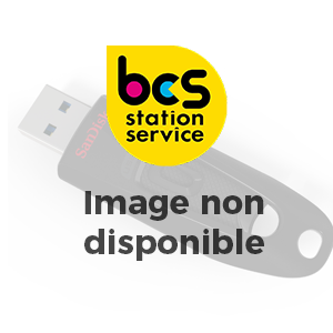 Carte Micro SDXC Kingston 256 Go UHS-I U3 V30 Classe 10 200 Mo/s Canvas Go Plus
